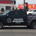 PLICIAS (3)