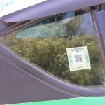 taxis