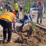 ARBOLES AGUA URBE (2)