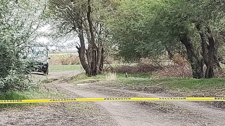 Lo hallan repartido en bolsas negras