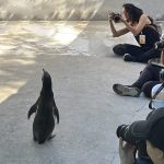 CONCURSO DE FOTOGRAFÍA FAUNA ZOOLEÓN