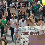 MANIFESTACION ARBOLES (6)