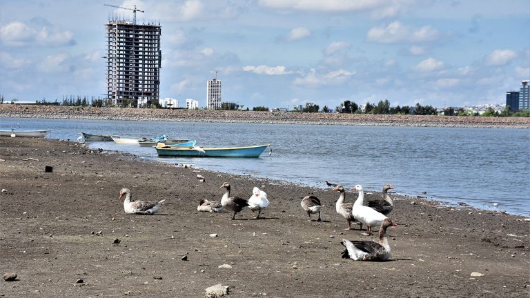 Pese a crisis pescadores  mantienen la esperanza
