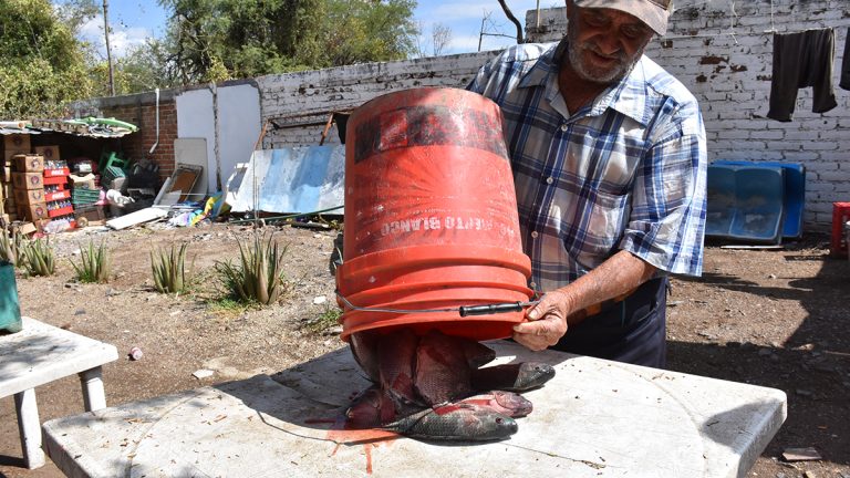 ¡Pescadores en crisis!