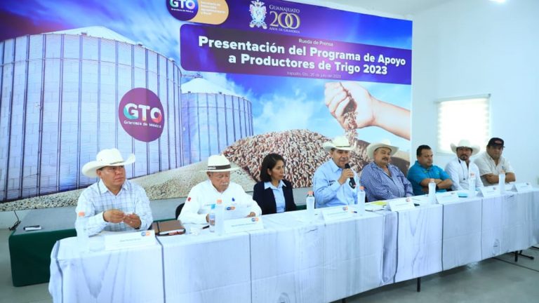 Estado apoya a los productores de trigo