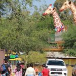 ZOOLÓGICO ABRE LAS PUERTAS A COLONIAS ALEDAÑAS (2)