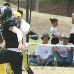 cachorros vs lions (3)