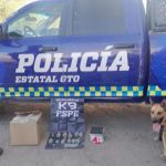 k9