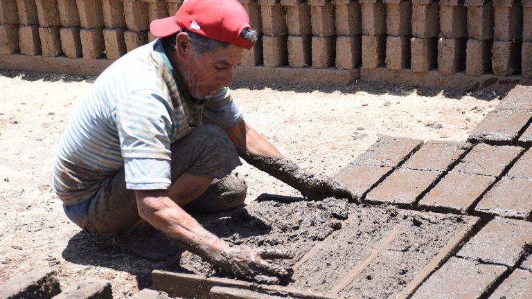 La intención es buena pero hay que revisar otros aspectos: PVEM