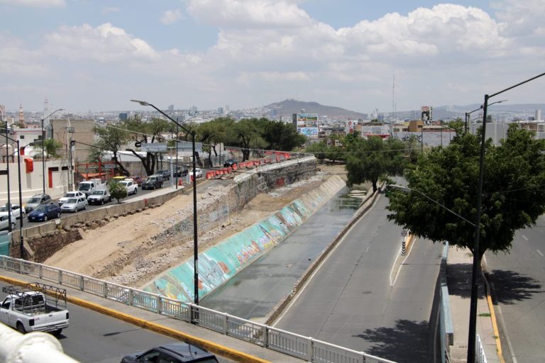 Árboles sembrados podrían ser una obstrucción: CONAGUA