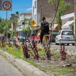 Reforetan (SFR) (3)