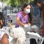 VETERINARIOS (1)