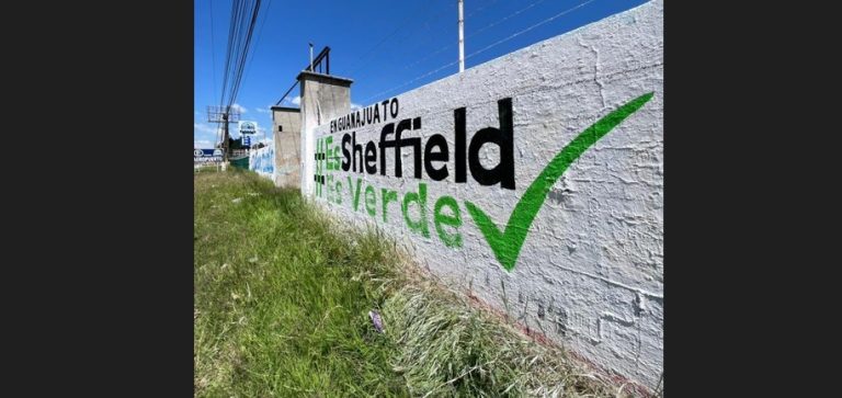 Partido Verde rechaza bardas en favor de Ricardo Sheffield