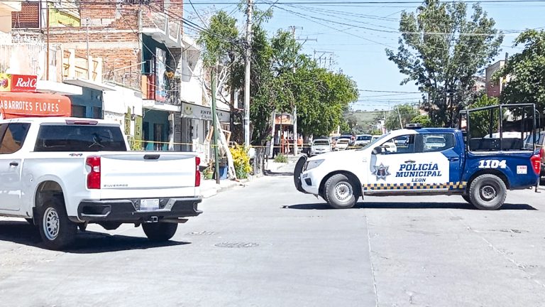 A puño limpio bolsas
