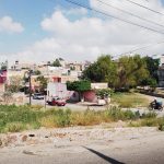 PILETAS (5)
