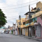 ARBOLEDAS (4)