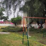 DENUNCIA ARBOLES 2