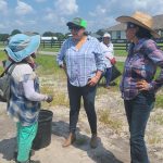 16 11 23 JCR LOCAL MIGRANTES (3)
