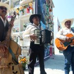 MUSICOS (7)