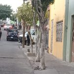 SE MURIO SAN ANTONIO (1)