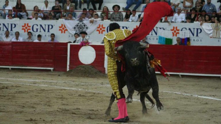 Fiesta brava, una tradición controversial