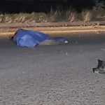 MUERTO ATROMPELLADO (4)