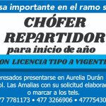SABADOPERA2