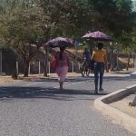 ZONA DE LA SARDANETA (1)