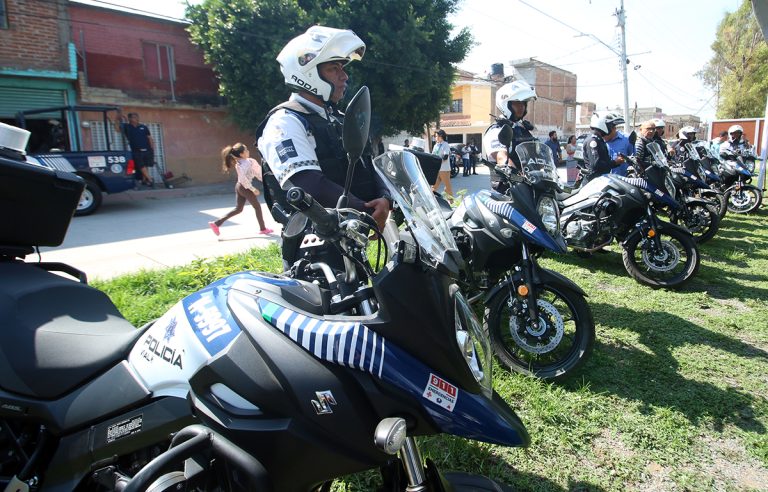 Toman ejemplo de León Toman ejemplo de León
