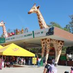 CARNAVAL ZOO (1) – copia