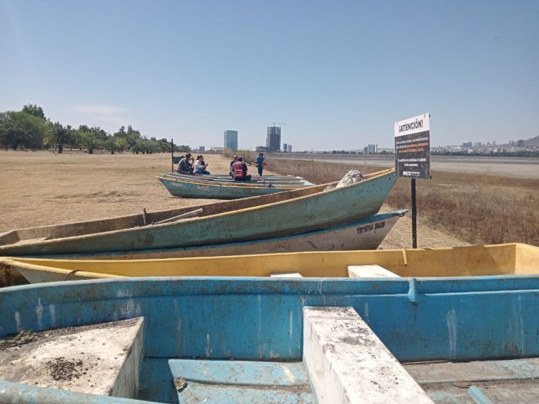 Se queda sin peces la Presa El Palote Se queda sin peces la Presa El Palote