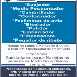 WhatsApp-Image-2024-03-06-at-2.39.34-PM