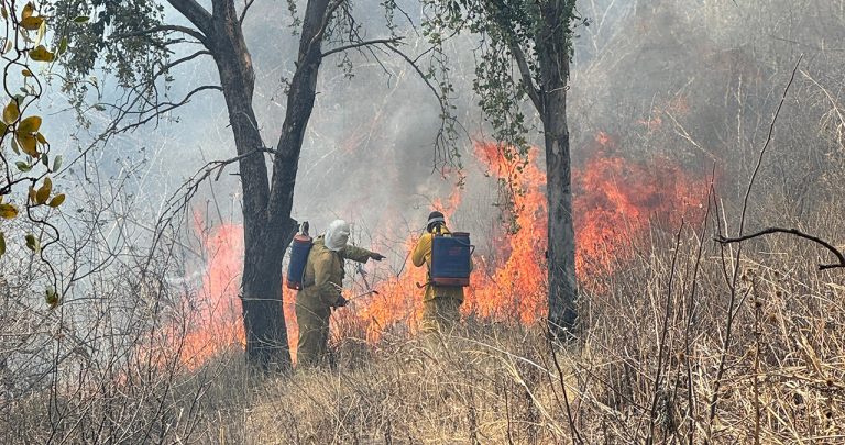 Voraz incendio