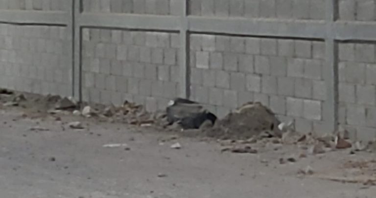 Fueron hallados durante un rondín