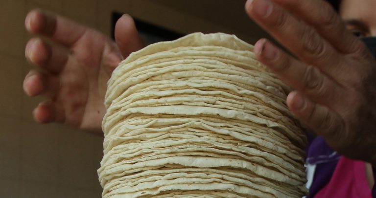 Aprueban apoyo económico para mantener precio de la masa y tortilla