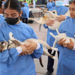 29 06 24 BM REG PURÍ ESTERILIZACIONES (3)