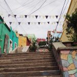 COLONIA CERCANAS INDUSTRIAL (7)