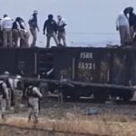 MIGRANTES (1)