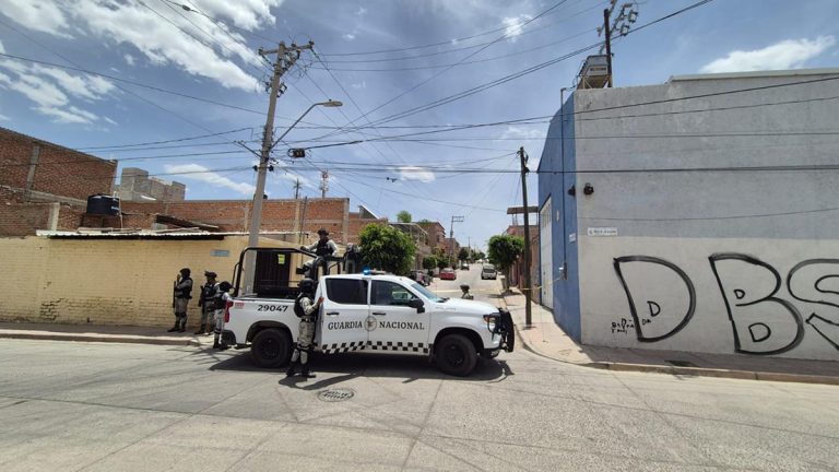 Andaba pepenando y se encontró la muerte