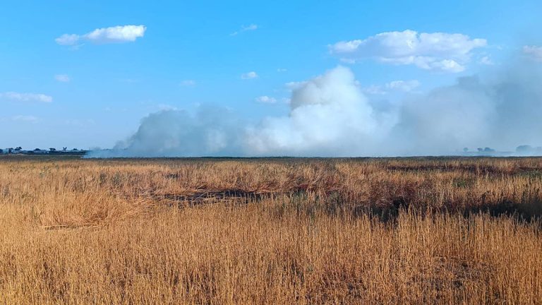 Malos olores los atribuyen a incendio en la Presa Blanca