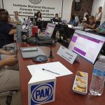 REVISA PAN (2)