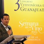 VINO (34)