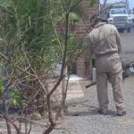06 07 2024 BM REG SFR Dengue (2)