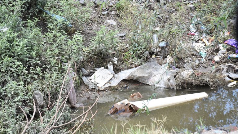 En análisis más de 600 posibles casos de dengue