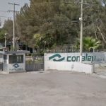 DENUNCIA CONALEP 2