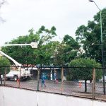 LLUVIAS (5)