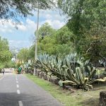 VIDEOVIGILANCIA (1)