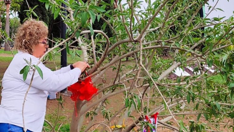 Celebran el Día del Árbol