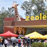 ANIVERSARIO ZOOLÓGICO 2