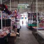 LA PULGA (5)